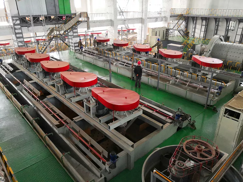 Celle di flottazione meccanica autoaspirate per granulo grosso